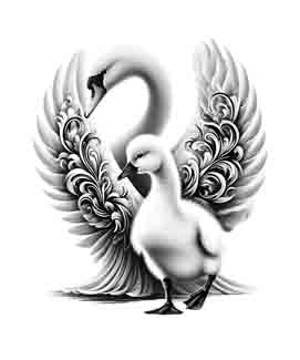 Swan and Cygnet - Digital Art | PNG, JPEG & SVG | Instant Download for Apparel, Décor and Wall Art