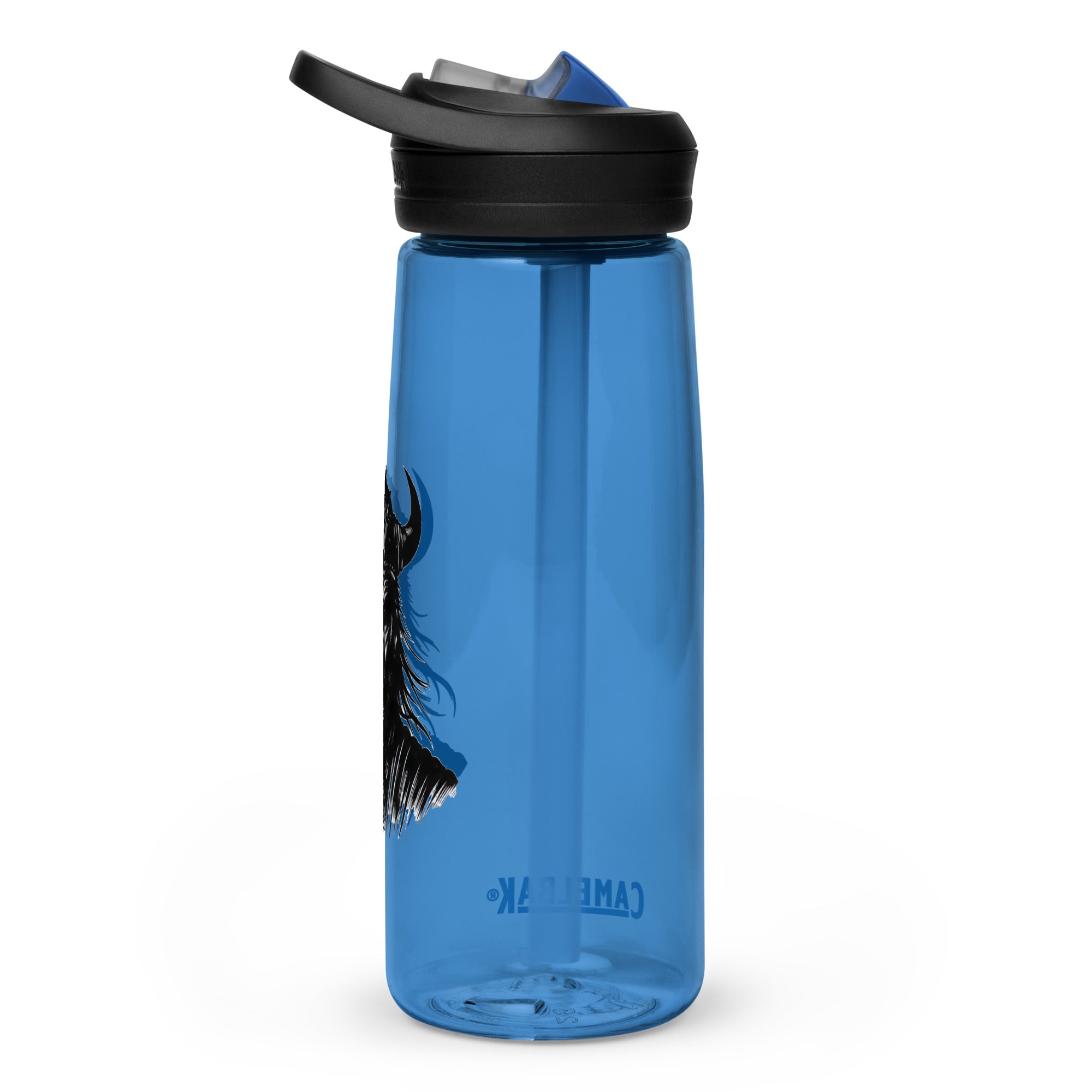 Viking Valour - Sports water bottle Valhalla Talisman Norse Design