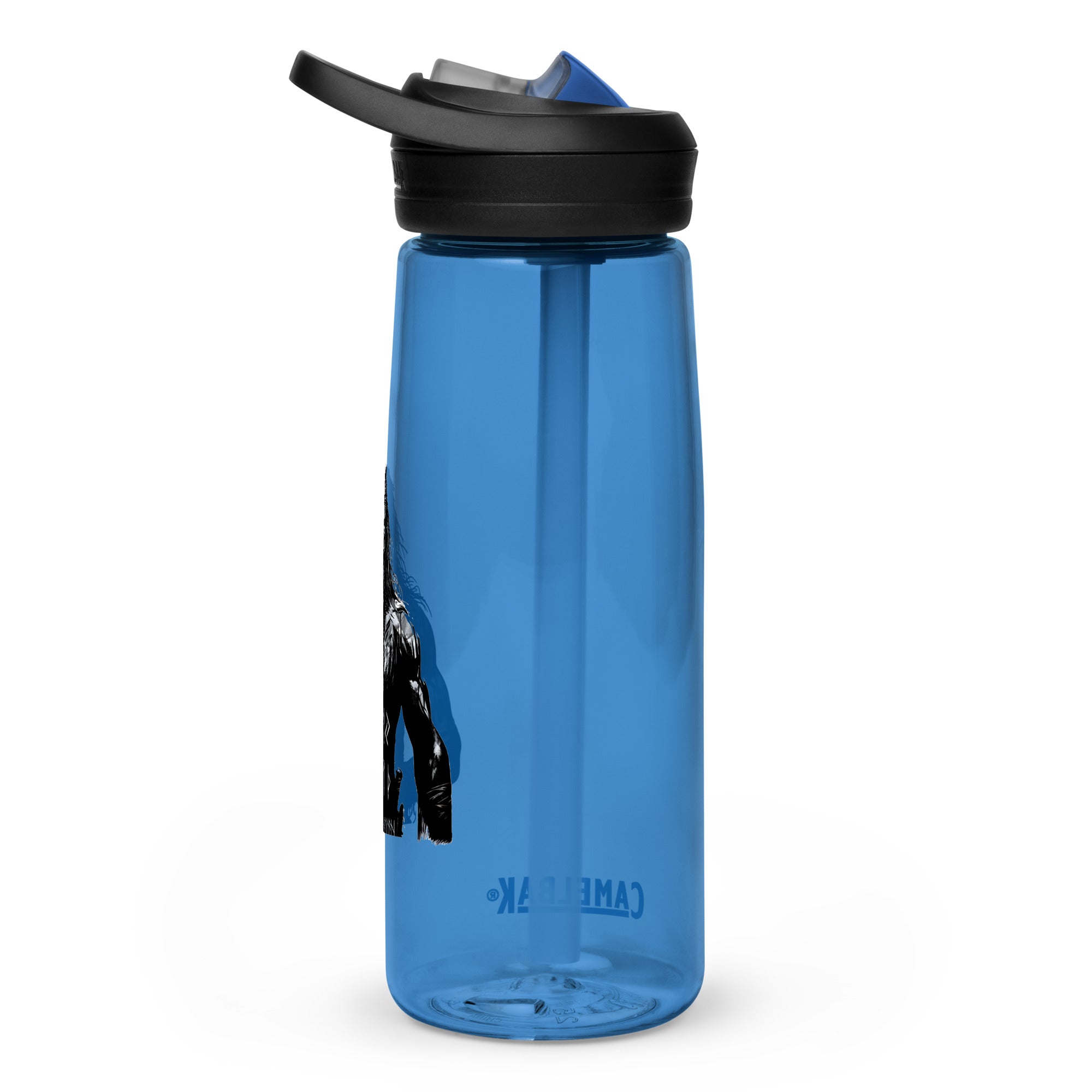 Viking Conviction - Sports water bottle Valhalla Talisman Norse Design